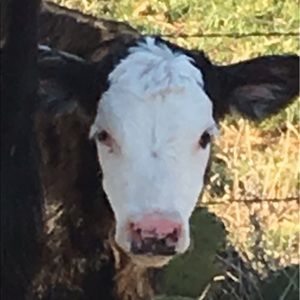 Meet your Posher, Jack