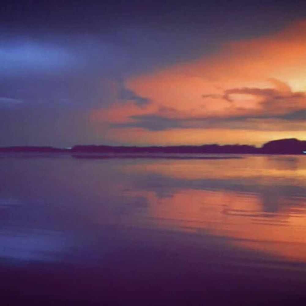 Meet your Posher, Dawn