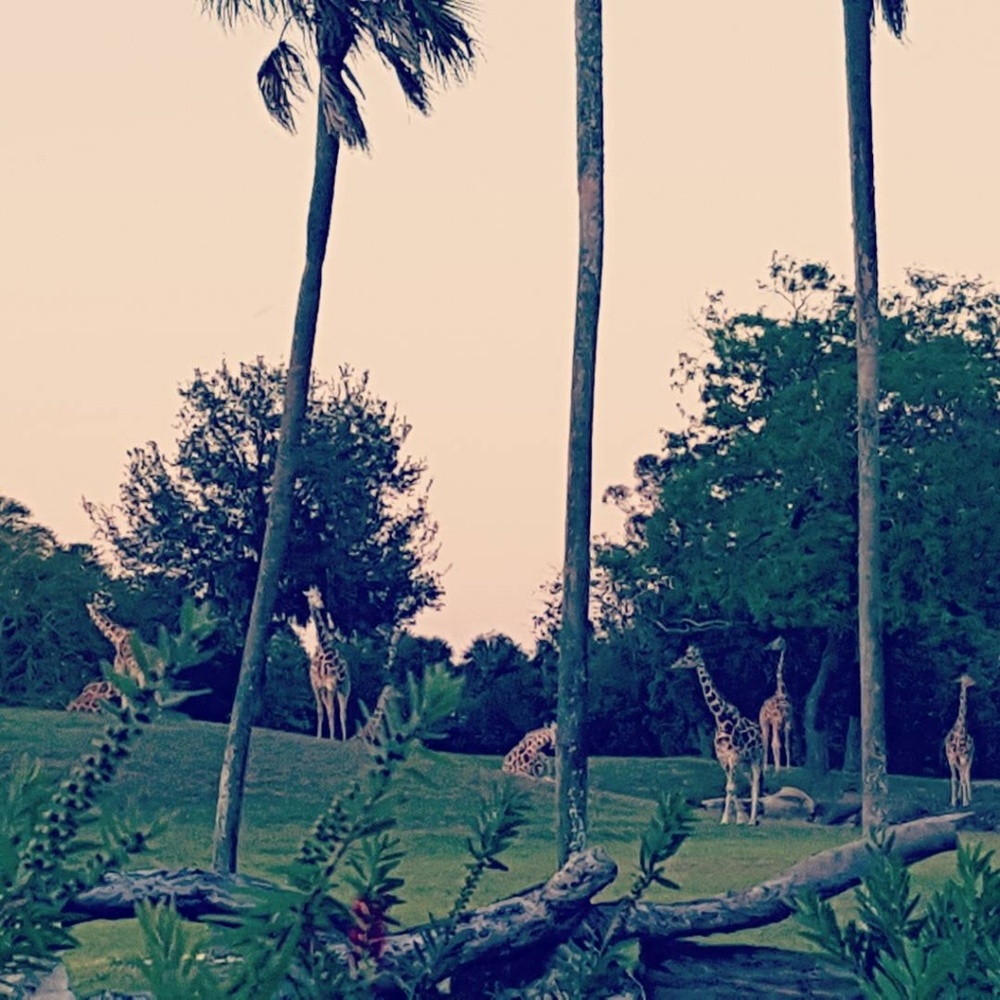 Meet your Posher, Daniela