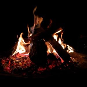 Meet your Posher, Breeallyn