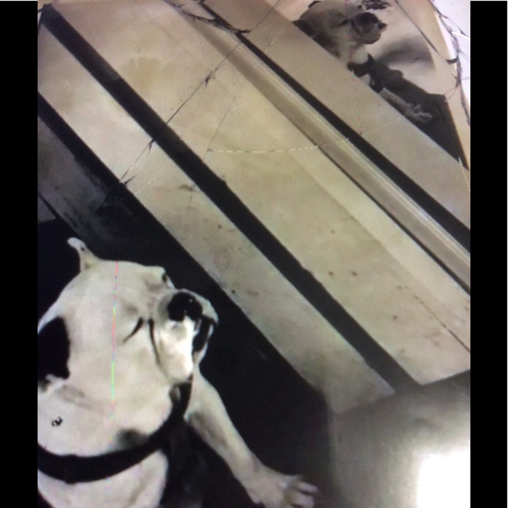 Reflection Photography