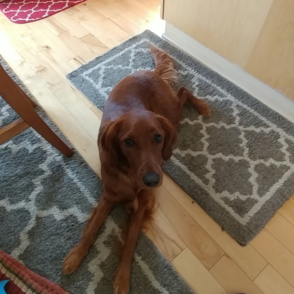Meet your Posher, Cindy