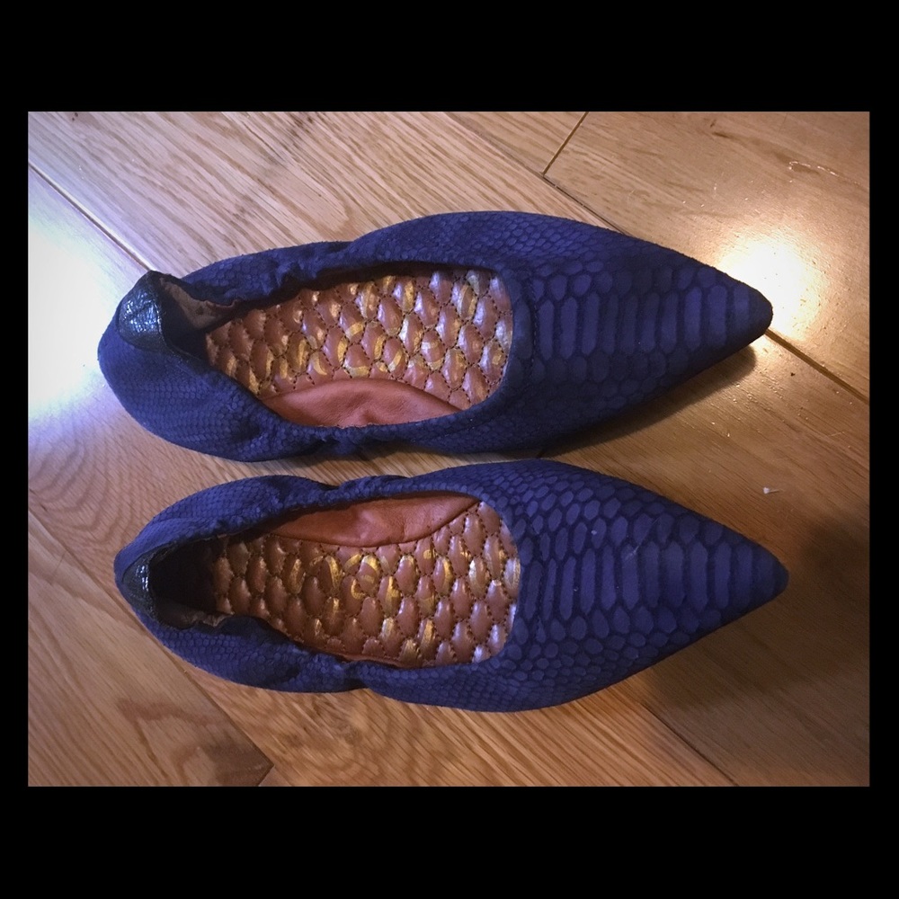 Sam Edelman Pointed Ballet Flats (Blue/Purple)