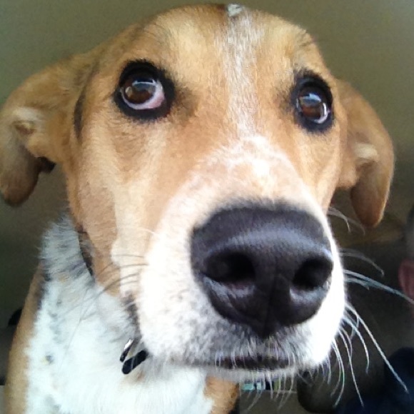 !        about me  🌵 - Picture 2 of 4