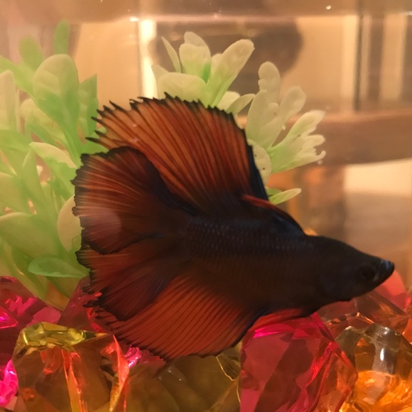 !        about me  🌵 - Picture 4 of 4