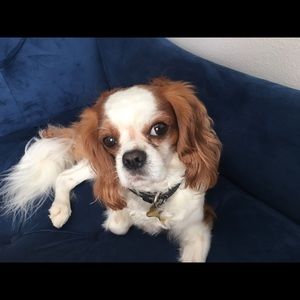 Meet your Posher, Jenny