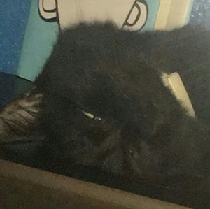 Meet your Posher, Amethyst