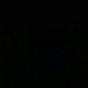 Meet your Posher, Devin