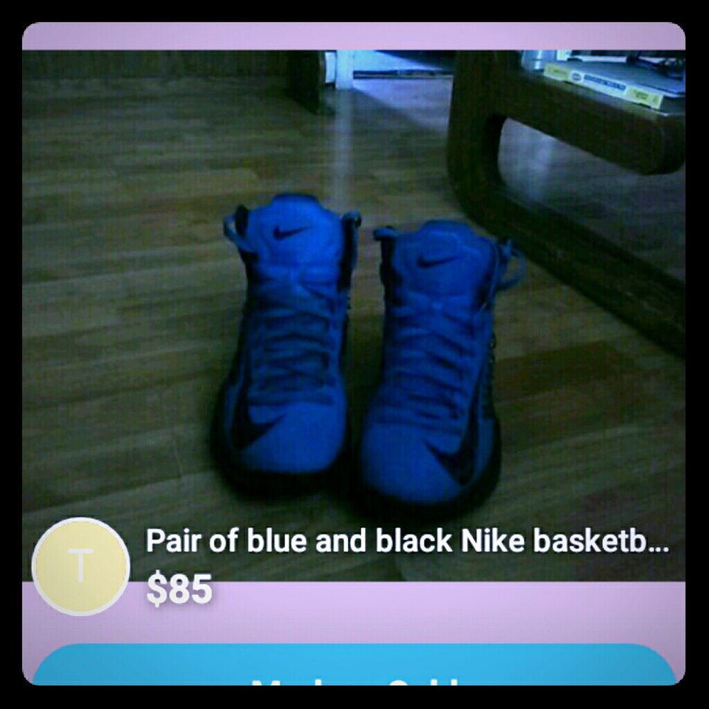 Retro 12 hyperdunks