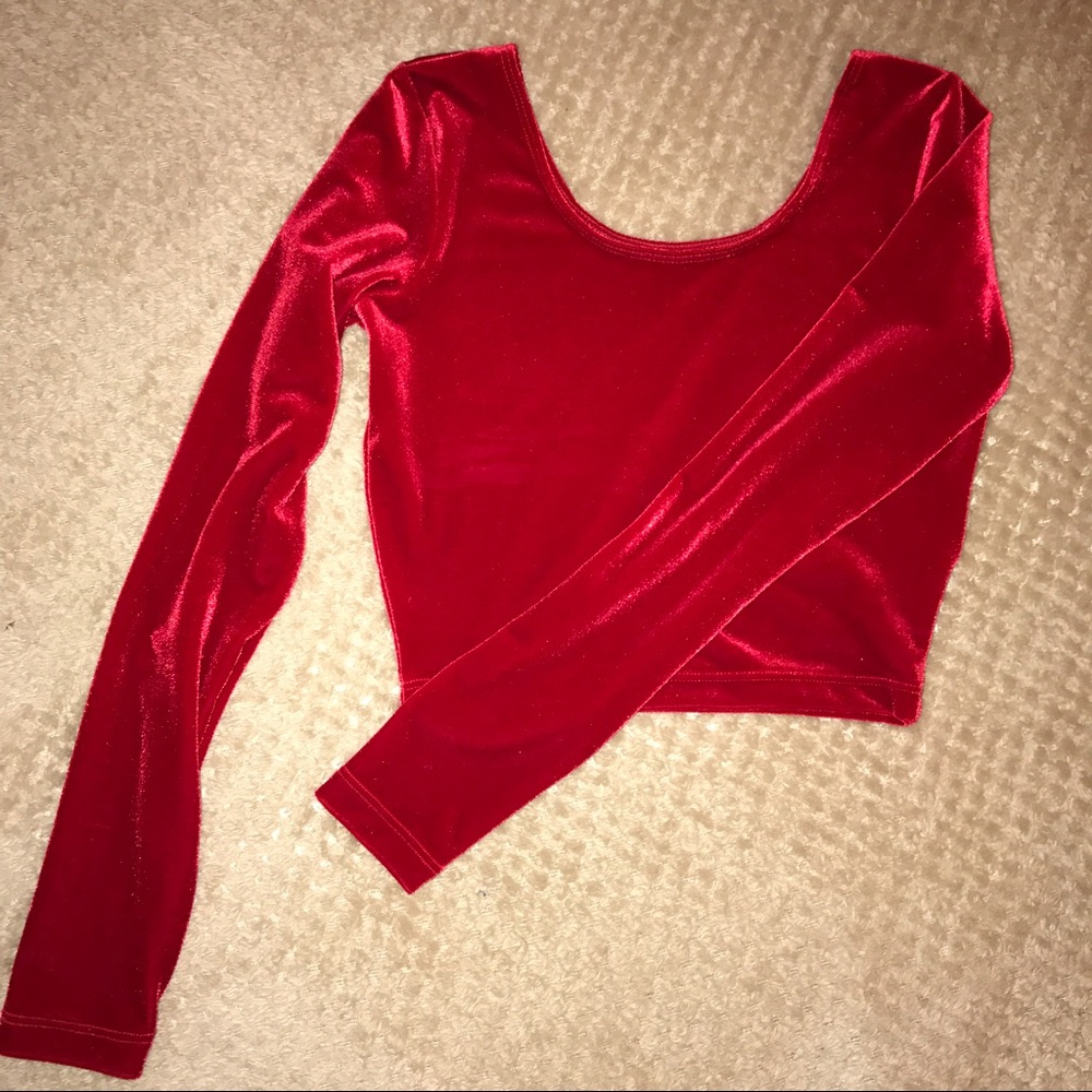 ❌SOLD❌ American Apparel Velvet Crop
