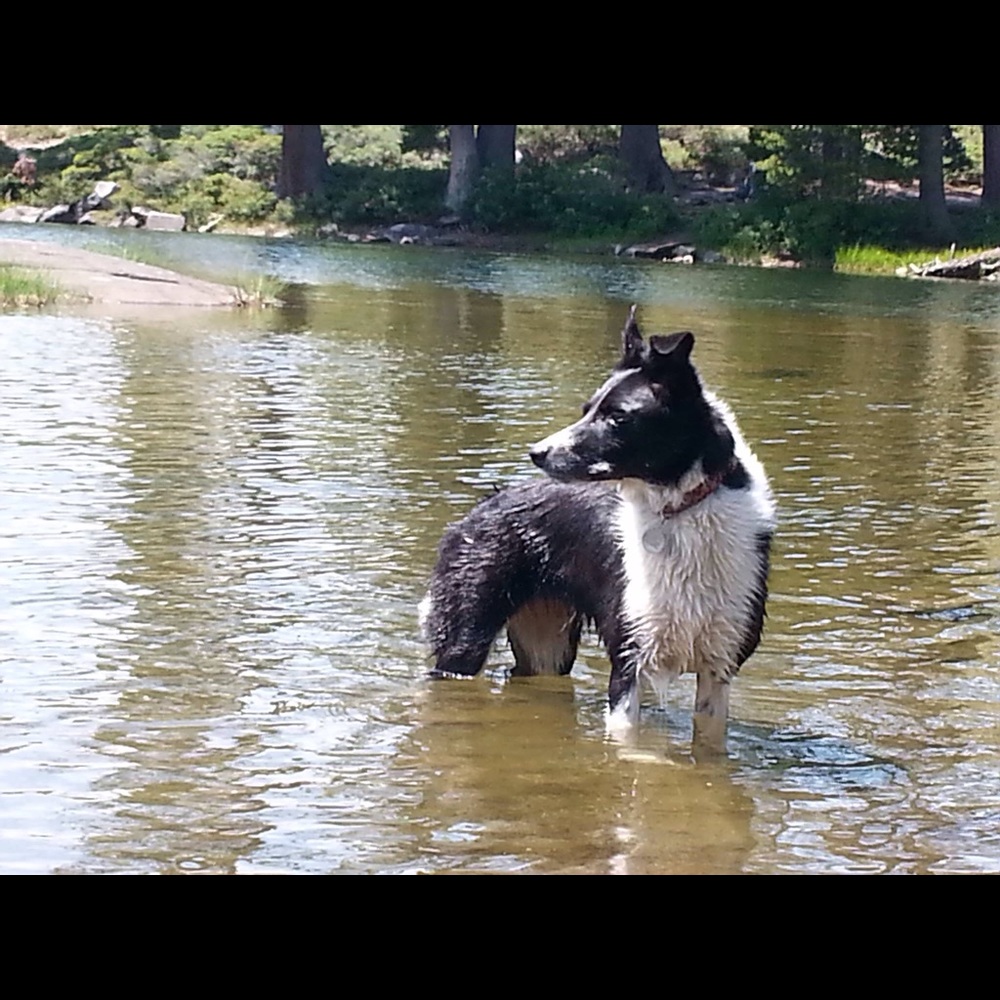 New Share Group Notification Here!