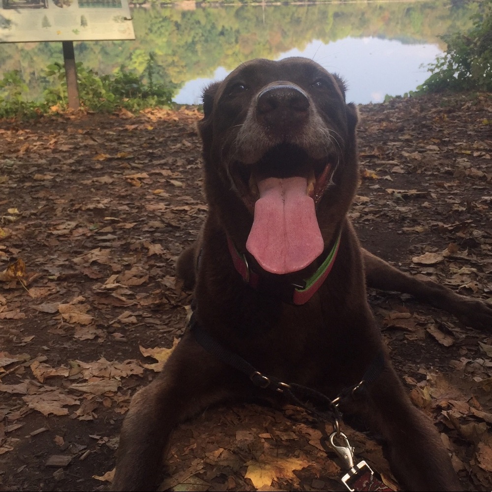 Meet your Posher, Cheryl