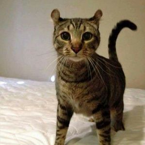 Meet your Posher, Ngan