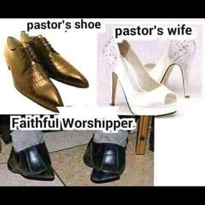 Meet your Posher, Rose