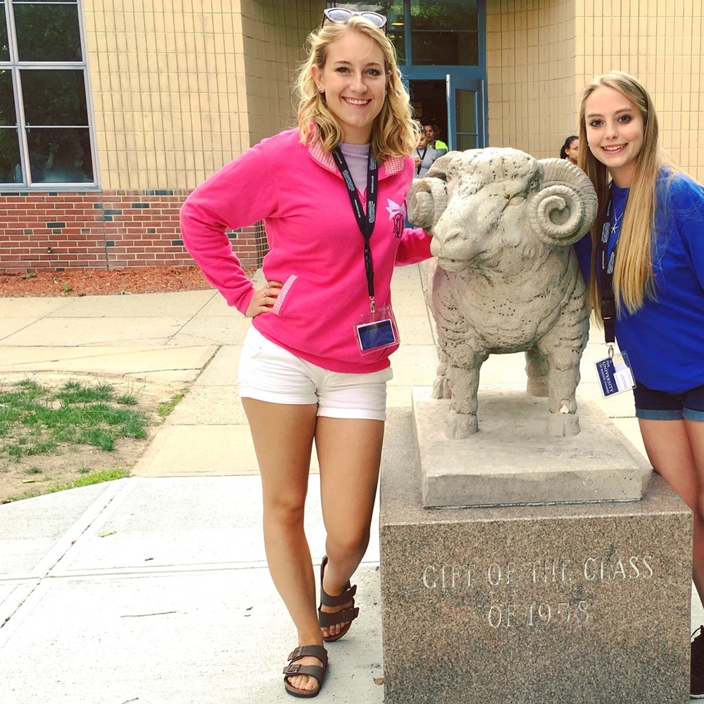 Comfy Cotton Stretch Shorts