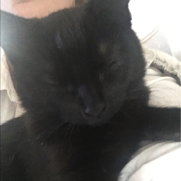 Meet your Posher, Lidia - Picture 1 of 1