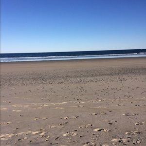 Meet your Posher, Holly