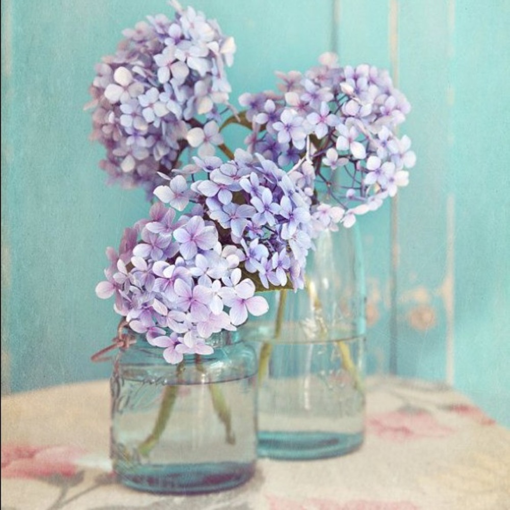 Meet your Posher, Celina