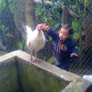 Meet your Posher, Oswaldo