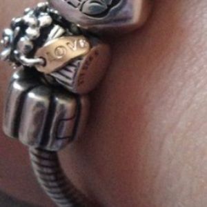 Pandora love bouquet charm.