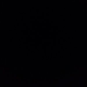 Meet your Posher, Bree