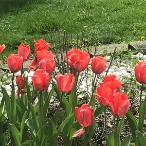 Meet your Posher, Lynn