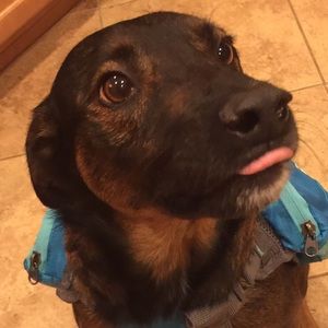 Meet your Posher, Larissa