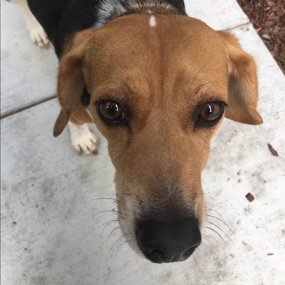 Meet your Posher, Layla