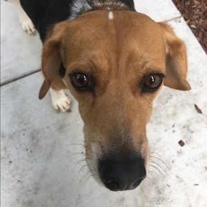 Meet your Posher, Layla