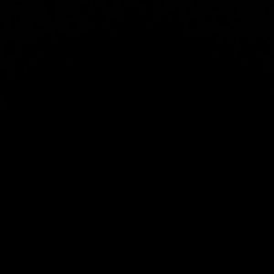 Meet your Posher, Devin