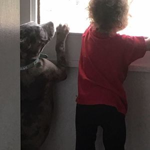 Meet your Posher, Sean