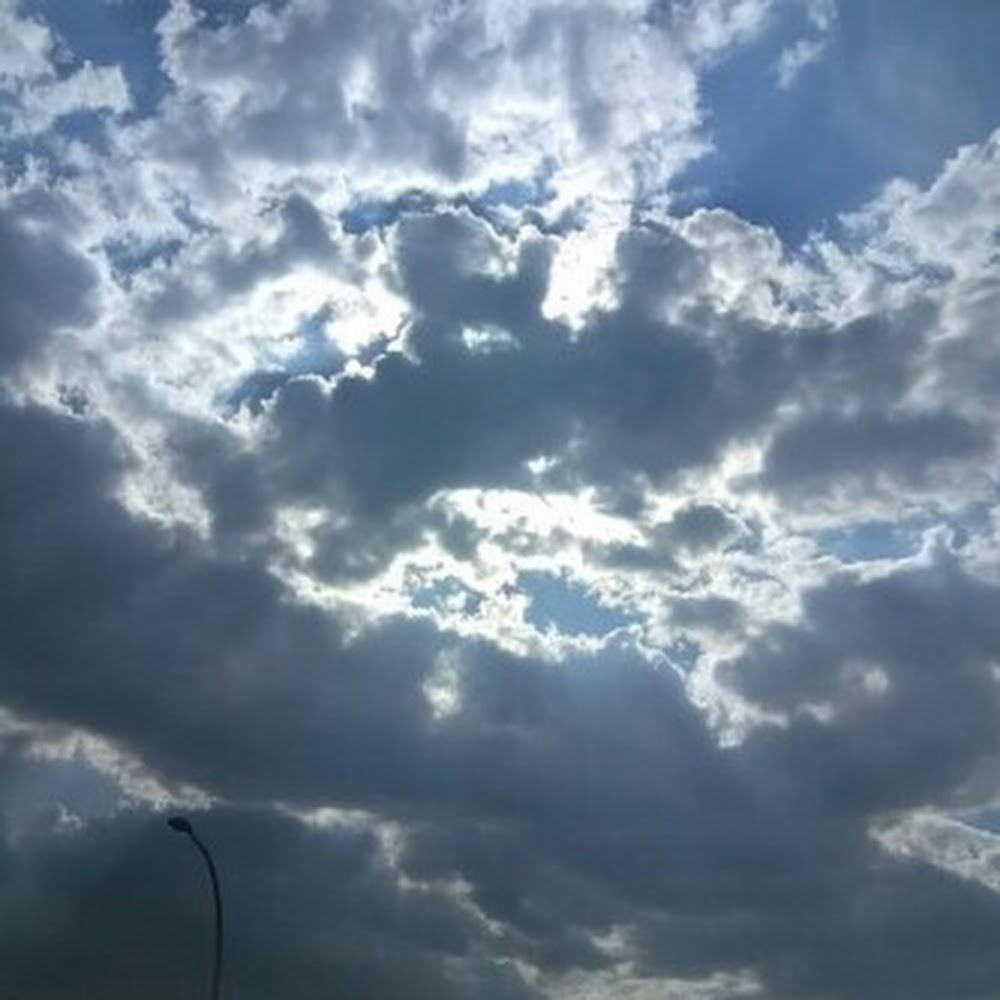 Meet your Posher, Dove