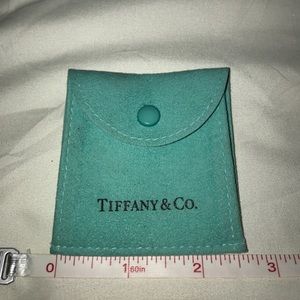TIFFANY & CO button double pouch