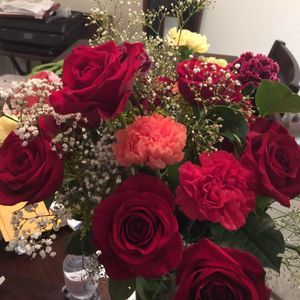 Meet your Posher, Lisbeth