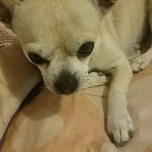 Meet your Posher, Adriana