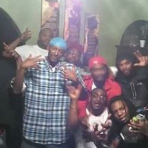 Meet your Posher, Roy