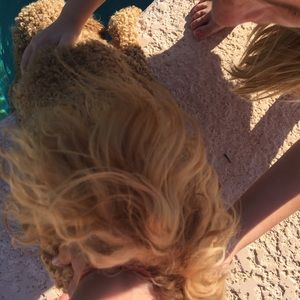 Meet your Posher, Maggie