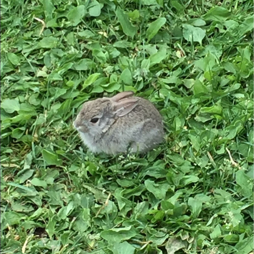 Meet your Posher, Crystal