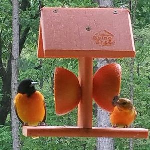 Meet your Posher, Janette