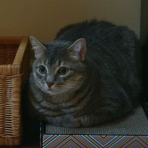 Meet your Posher, Veronica