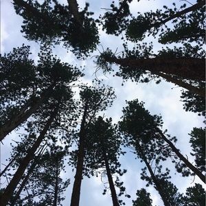 Meet your Posher, Claire