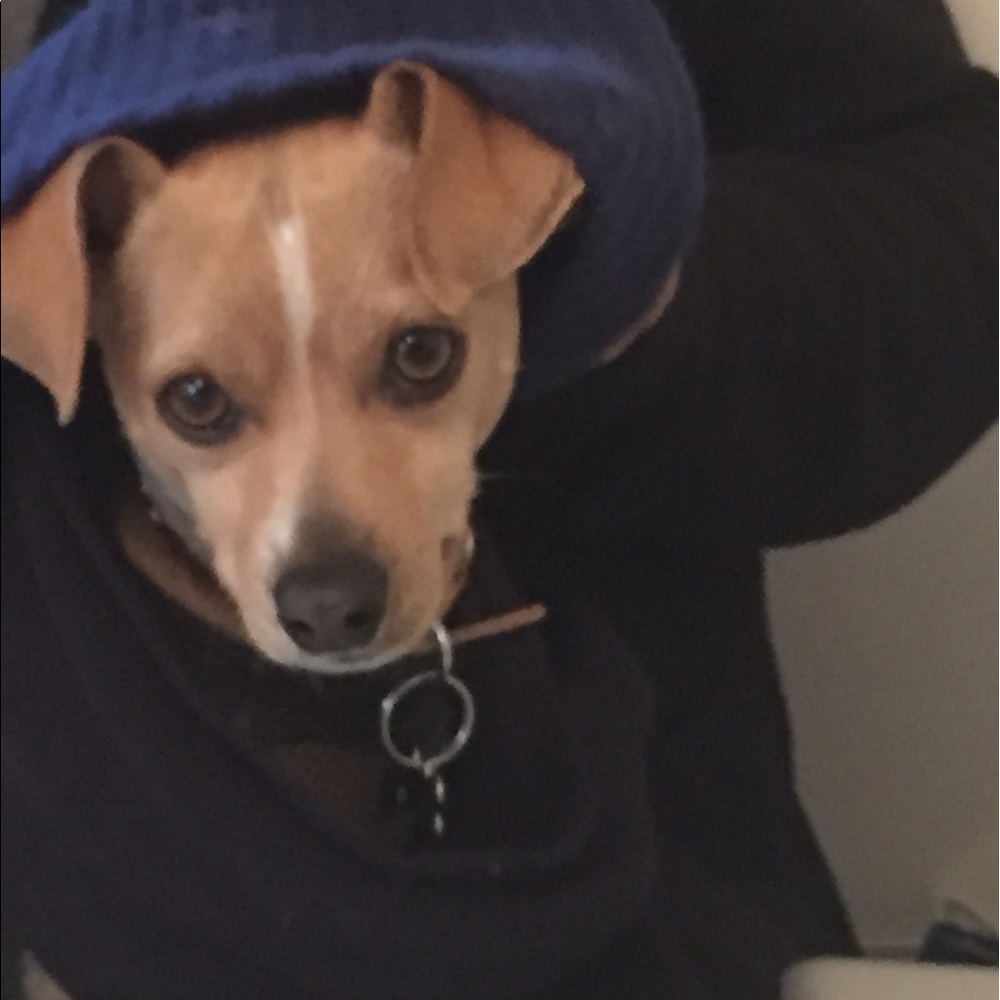 Meet your Posher, Melissa