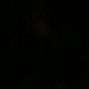 Meet your Posher, Cody