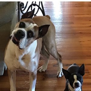 Meet your Posher, Jenny