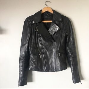 BCBG Moto Jacket