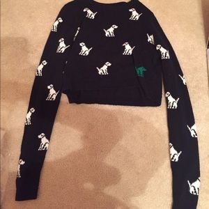 Abercrombie Dog Cropped Sweater