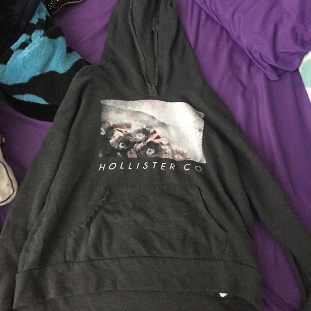 Gray Hollister hoodie