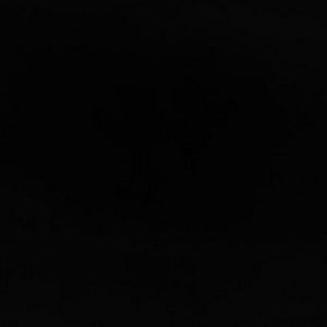 Meet your Posher, Xavier