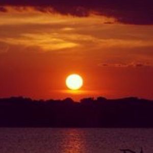 Meet your Posher, Abdullah