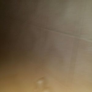 Meet your Posher, Rick